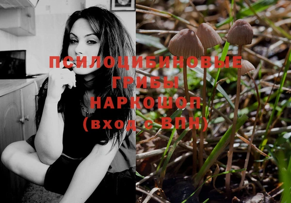 спиды Баксан