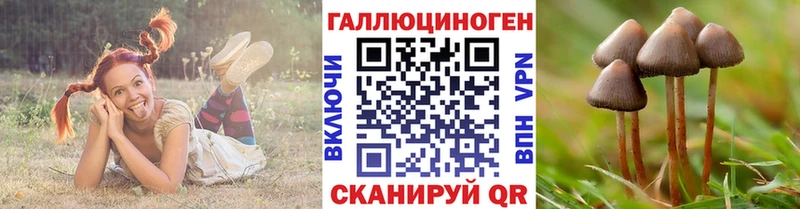 кракен вход  Тотьма  Галлюциногенные грибы ЛСД 